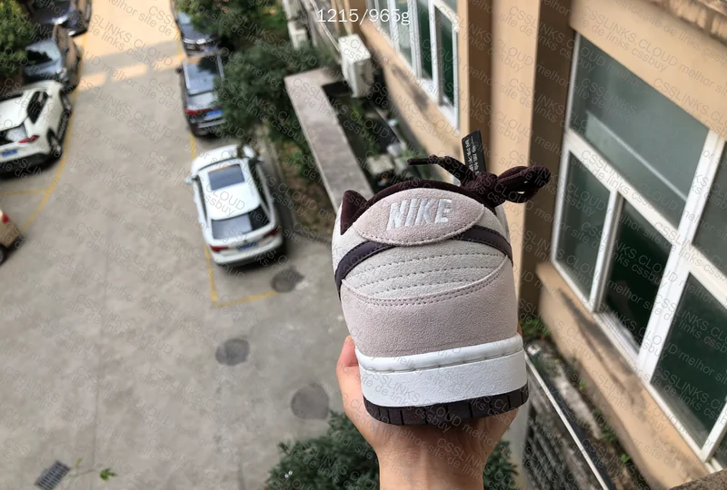 Dunk Low Desert Sand (Luz natural) 3