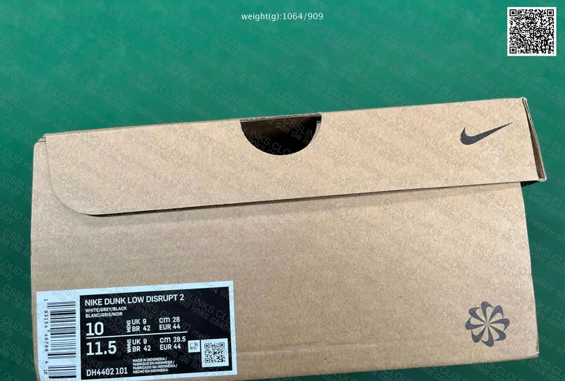 Dunk Low Disrupt 2 (GT) 2