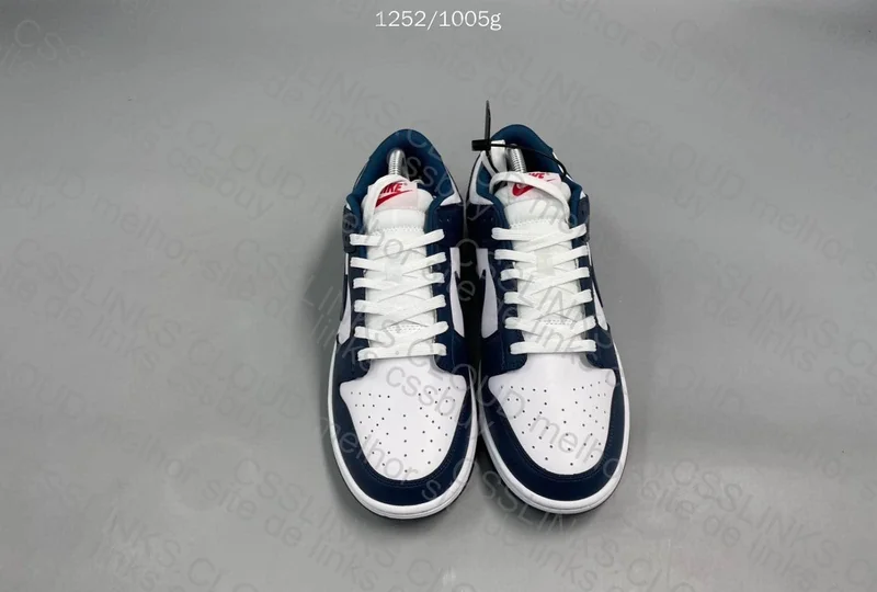 Dunk Low OVO 4