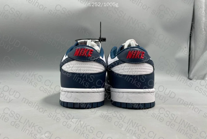 Dunk Low OVO 5