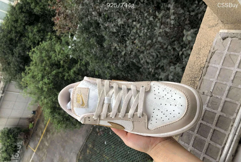 Dunk Low "Gold Swoosh" 3