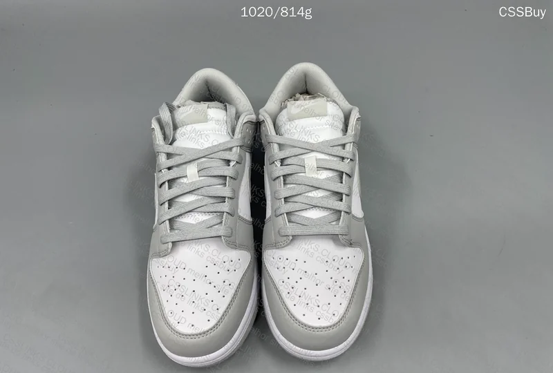 Dunk Low Grey Fog 5