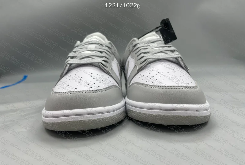 Dunk Low Grey Fog 5