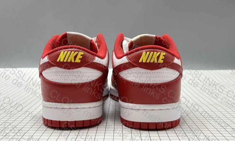 Dunk Low 'Gym Red' 4
