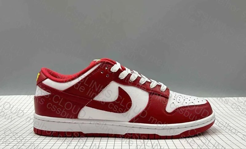 Dunk Low 'Gym Red' 5