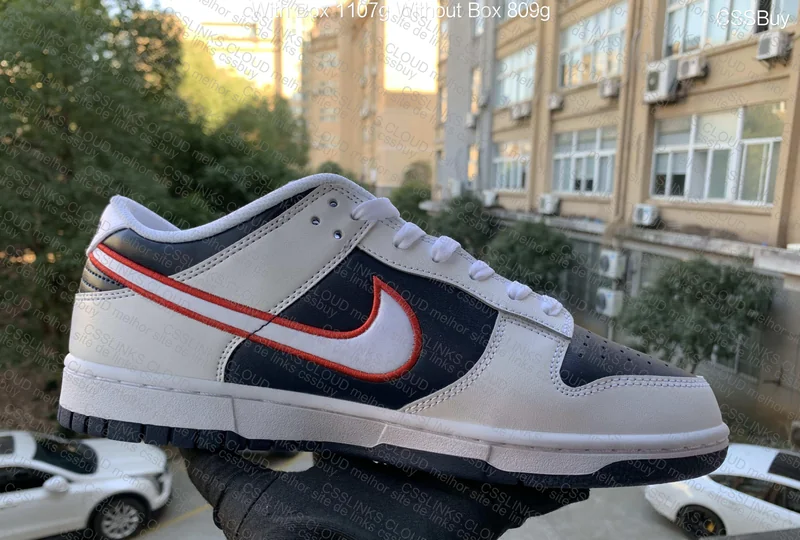 Dunk Low Houston Comets 5