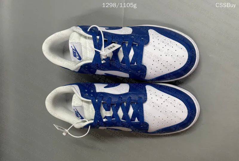 Dunk low kentucky 3