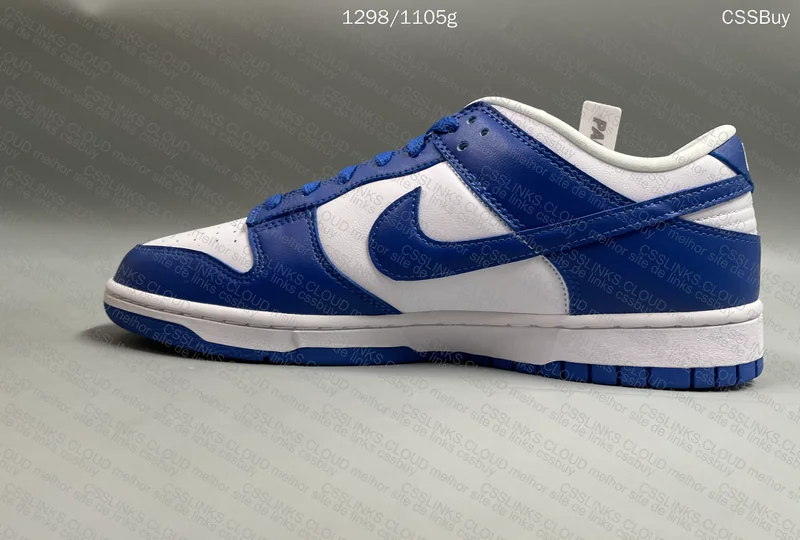 Dunk low kentucky 5