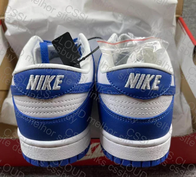 Dunk low Kentucky