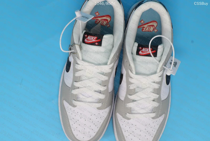 dunk low lottery