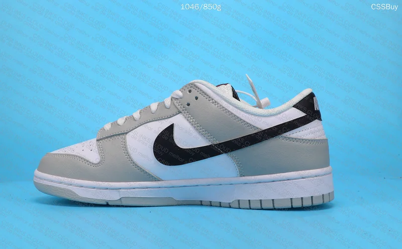 Dunk low lottery 5