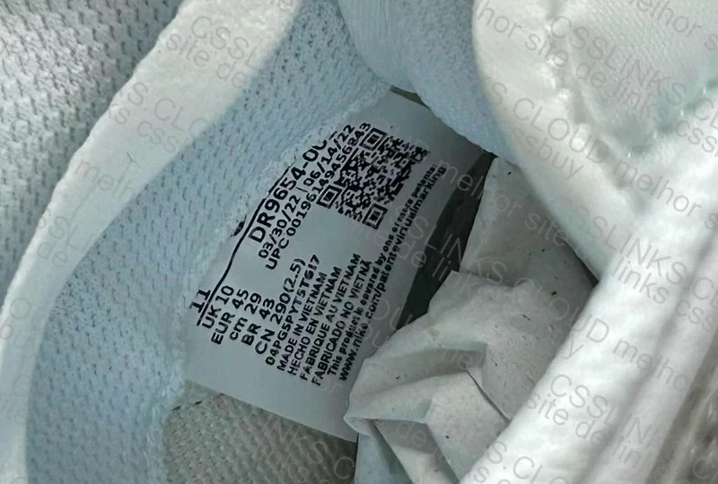 Nike Dunk Low OVO Lottery 5