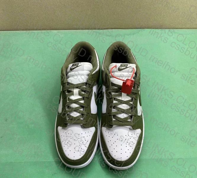 Dunk Low medium olive 5