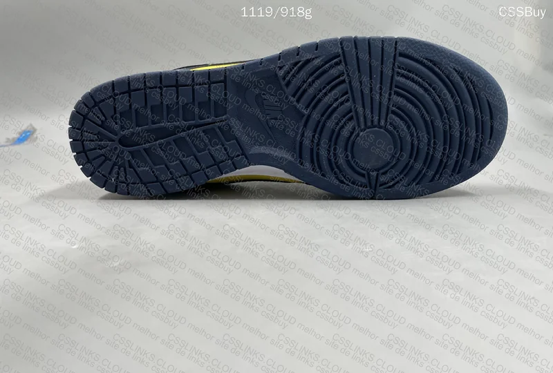 Dunk Low Michigan 10