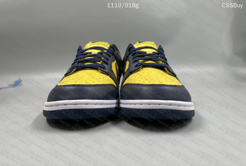 Dunk Low Michigan 2