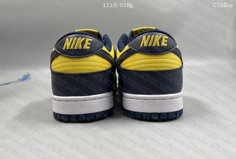 Dunk Low Michigan 3