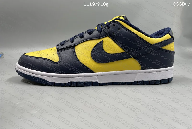 Dunk Low Michigan 5