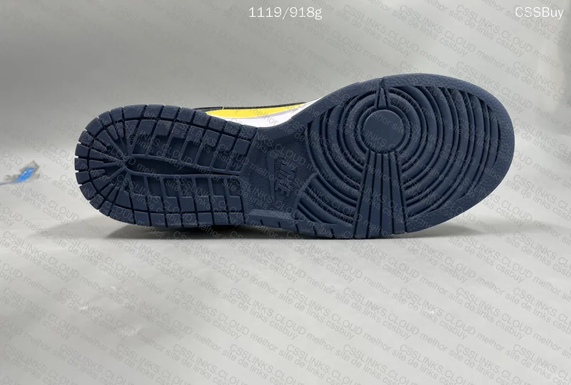Dunk Low Michigan 6