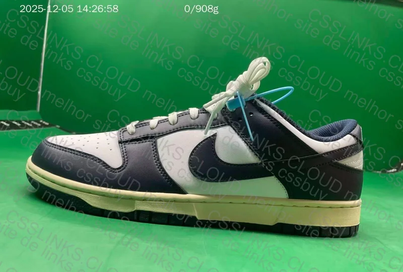 Dunk Low Navy 10