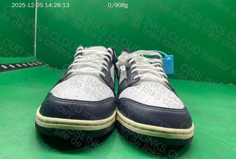 Dunk Low Navy 4