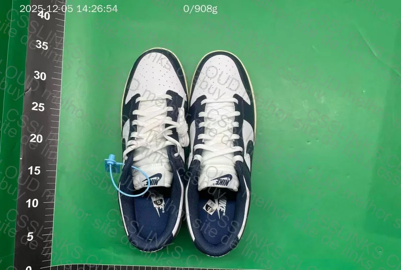 Dunk Low Navy 6