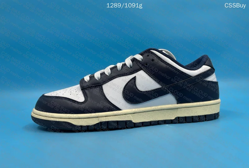 Dunk low Navy Blue 2