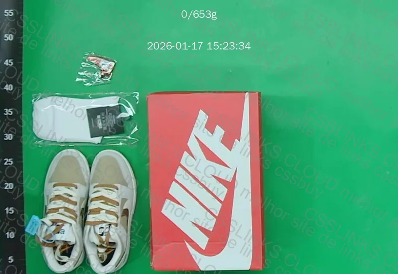 dunk low new vt 2