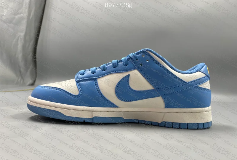 Dunk Low North Carolina Blue 5