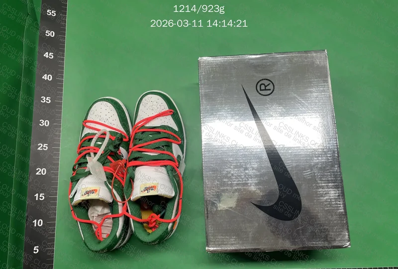 Dunk Low Off White 5