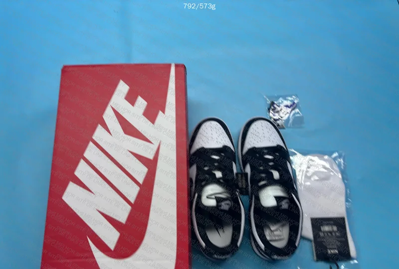 Dunk Low Panda 5