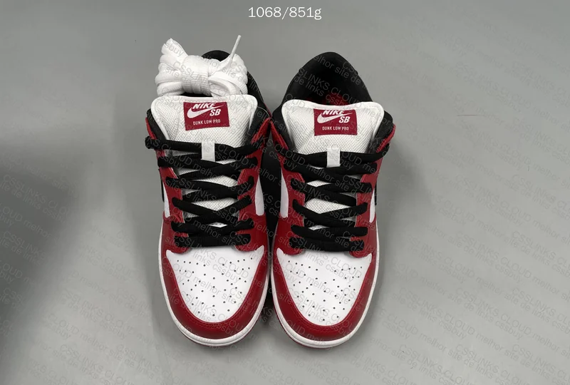 Nike Dunk Low Pro Chicago