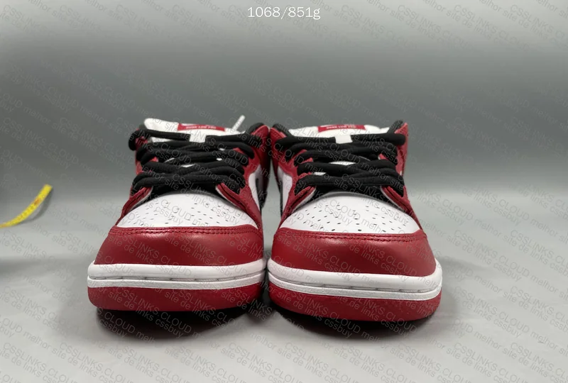 Nike Dunk Low Pro Chicago 2