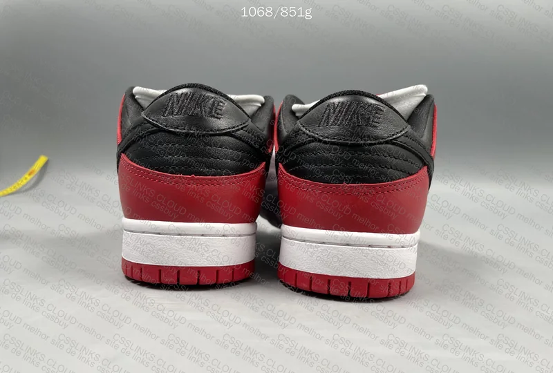 Nike Dunk Low Pro Chicago 3