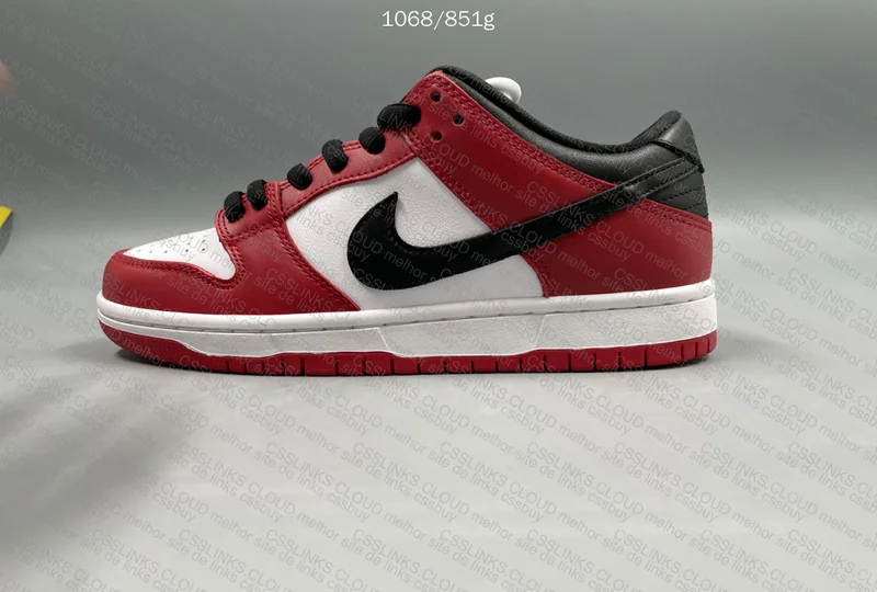 Nike Dunk Low Pro Chicago 4