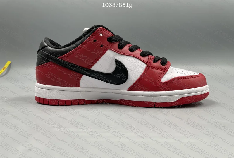 Nike Dunk Low Pro Chicago 5