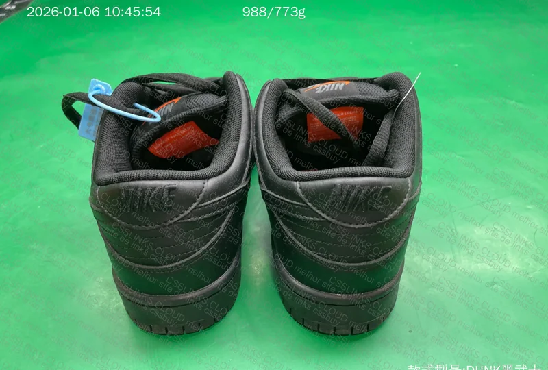 dunk low sb 5