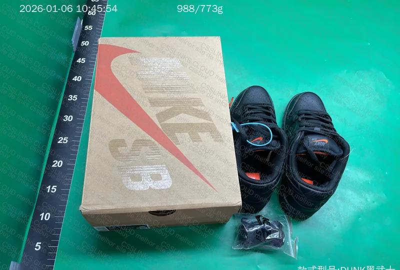 dunk low sb 6