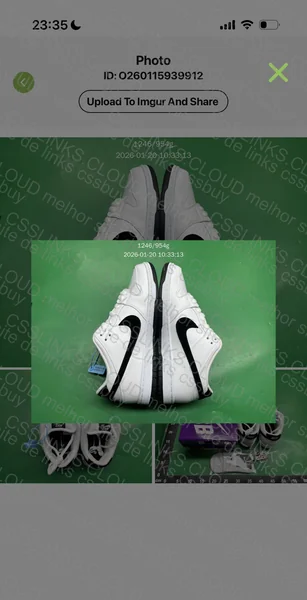 dunk low sb