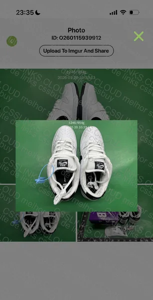 dunk low sb 2