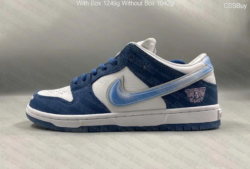 Dunk Low Sb Born x Raised - Duvida! 4