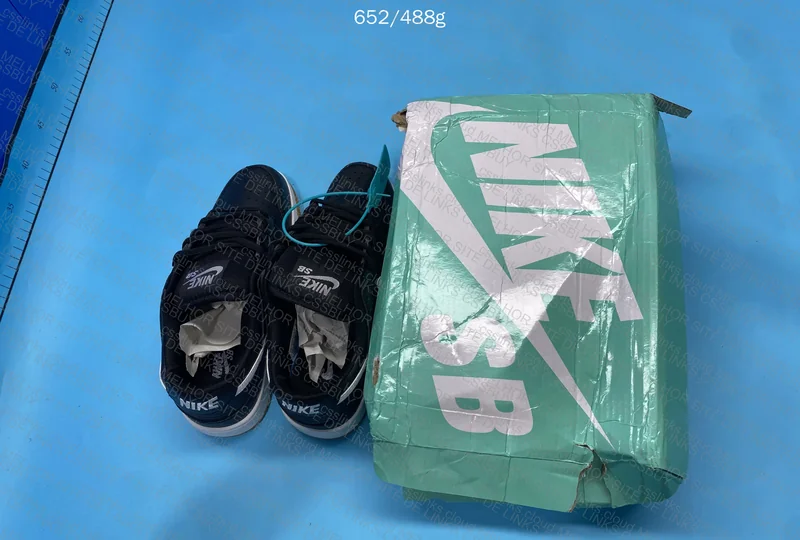 Nike Dunk Low SB Do Perigo