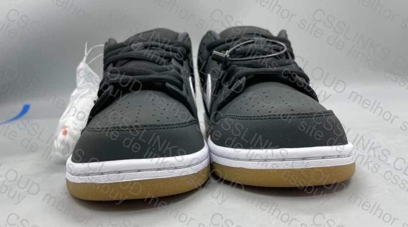Nike Dunk Low SB Pro ISO 4