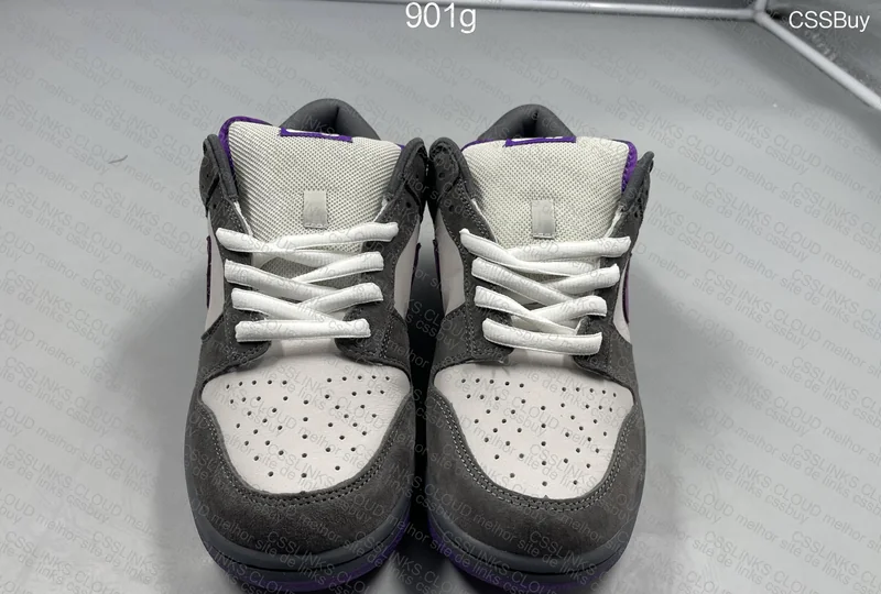 Dunk Low SB "Purple Pigeon" 6