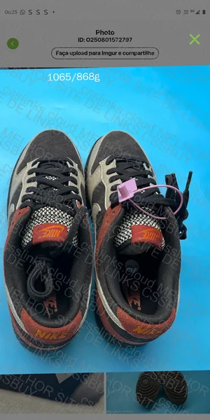 Nike Dunk Low SB Retro