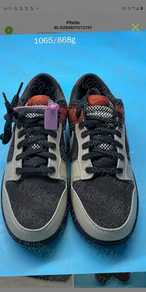 Nike Dunk Low SB Retro 2