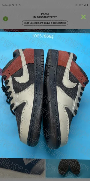 Nike Dunk Low SB Retro 3