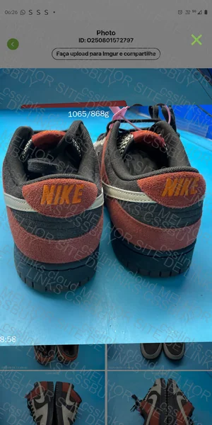 Nike Dunk Low SB Retro 4