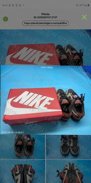 Nike Dunk Low SB Retro 5