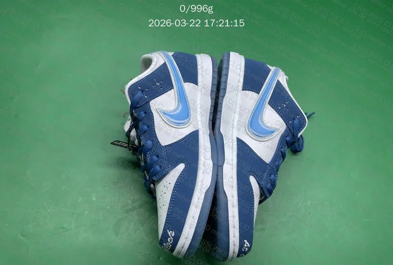 Dunk Low Sb X Born X Raised 6