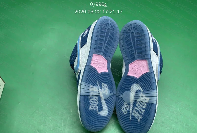 Dunk Low Sb X Born X Raised 8